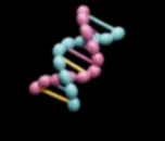 Elemento educacional